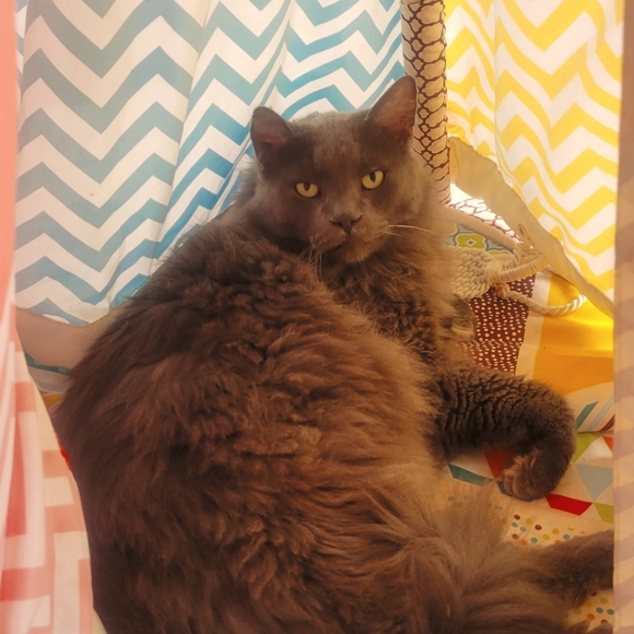 My memories on your sleeve ;) - Picture 9 of 16